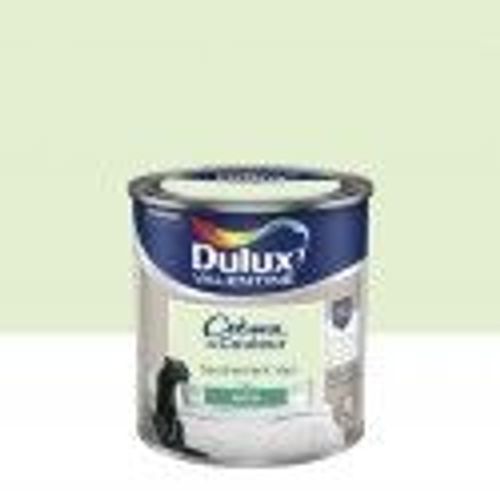 Peinture décoration finition crème de couleur satin tendrement vert 0.5l DULUX VELENTINE