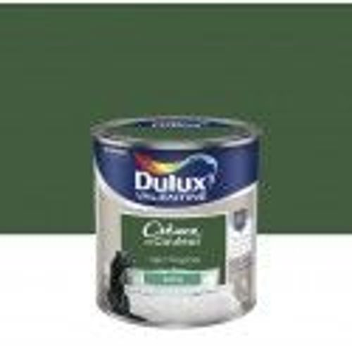 Peinture décoration finition crème de couleur satin vert tropical 0.5l DULUX VELENTINE
