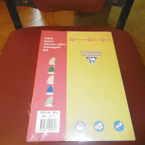 RAMETTE DE 100 FEUILLES PAPIER 80 GRS A4 JAUNE SOLEIL TROPHÉE CLAIREFONTAINE 4117