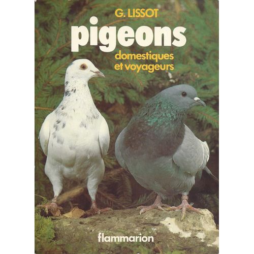 Pigeons Domestiques Et Voyageurs - G. Lissot - Flammarion 1982