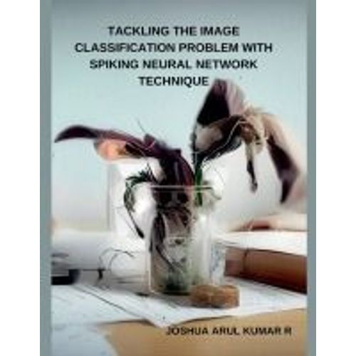 Tackling The Image Classification Problem With Spiking Neural Network Technique
