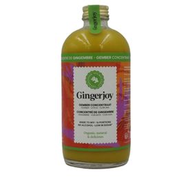 Gingerjoy - Concentré De Gingembre Bio - Bouteille 480ml