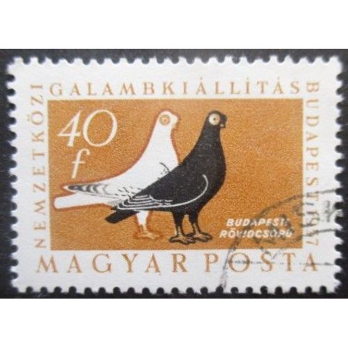 Hongrie N°1231 Pigeons Oblitéré