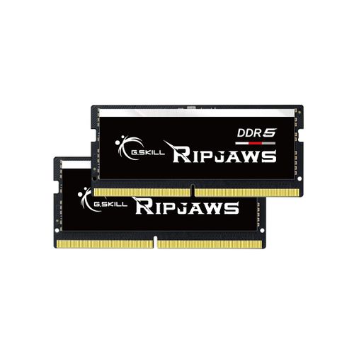 G.skill Ripjaws F5-4800s4039a32gx2-rs Module De Mémoire 64 Go 2 X 32