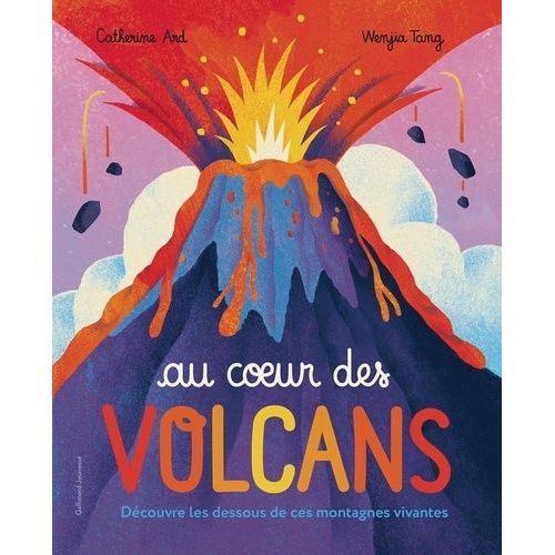 Au Coeur Des Volcans