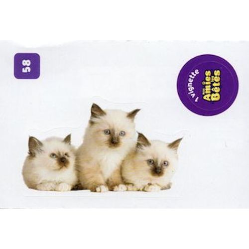 Autocollant Sticker Image Spa, Nos Amies Les Bêtes : 58 - Chat Birman / Cora Match 2024