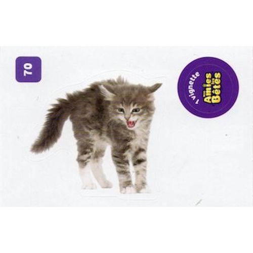Autocollant Sticker Image Spa, Nos Amies Les Bêtes : 70 - Chat Peureux / Cora Match 2024
