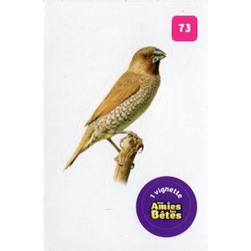 Autocollant Sticker Image Spa, Nos Amies Les Bêtes : 73 - Oiseau Moineau Du Japon / Cora Match 2024