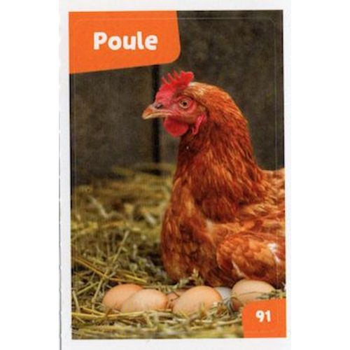 Autocollant Sticker Image Spa, Nos Amies Les Bêtes : 91 - Ferme Poule / Cora Match 2024