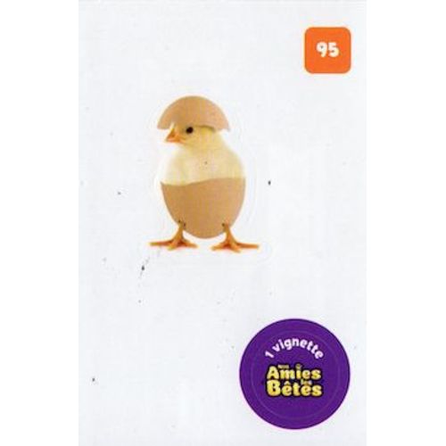 Autocollant Sticker Image Spa, Nos Amies Les Bêtes : 95 - Ferme Poussin Oeuf / Cora Match 2024