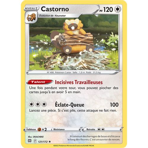 Castorno - Holo - 121/172- Stars Etincelantes