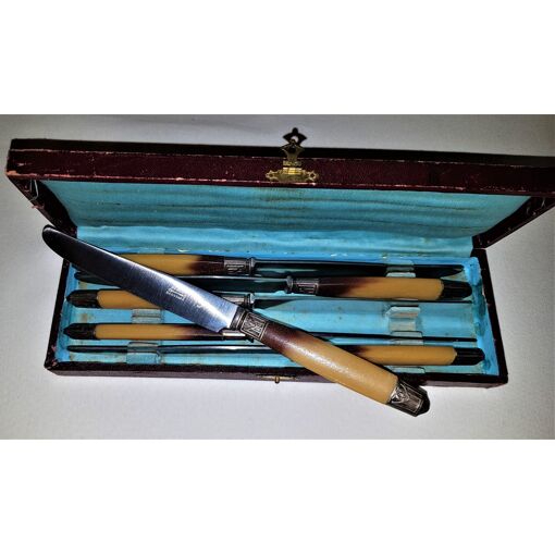 Coffret De 11 Couteaux Anciens Brossard Lyon – Manche Corne – Fabrication Française 1920-1949