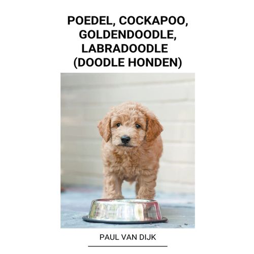 Poedel, Cockapoo, Goldendoodle, Labradoodle  (Doodle Honden)