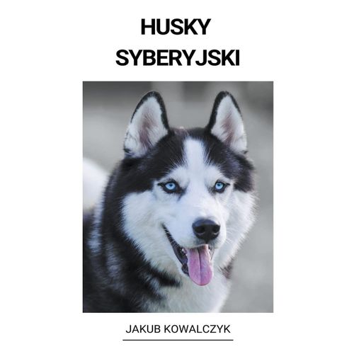 Husky Syberyjski