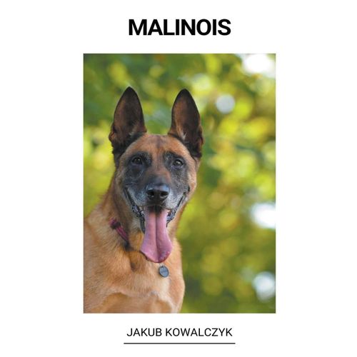 Malinois