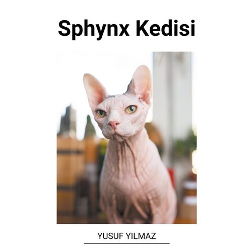 Sphynx Kedisi