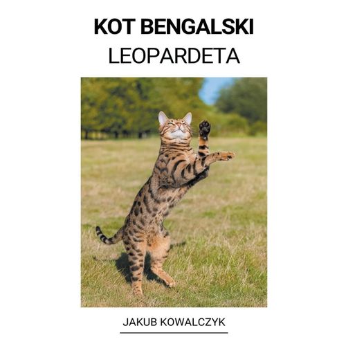 Kot Bengalski (Leopardeta)