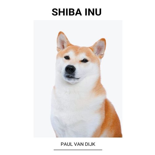 Shiba Inu