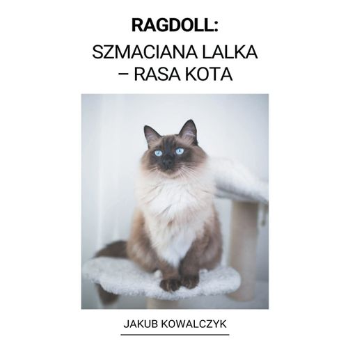 Ragdoll