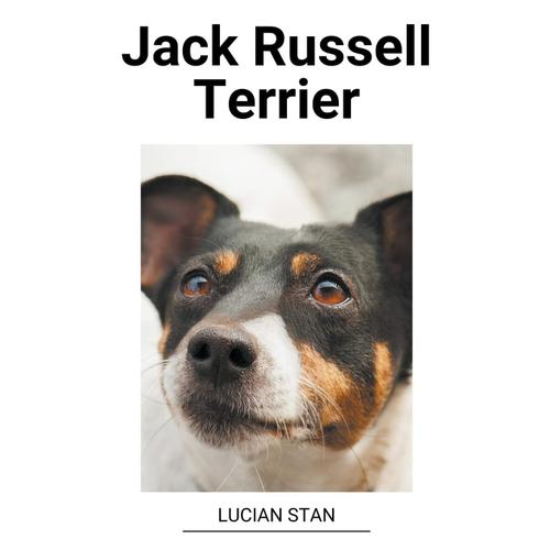 Jack Russell Terrier