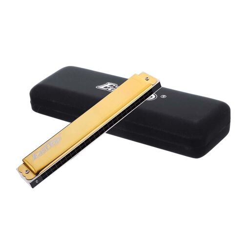 Harmonica Polyphonique 24 Trous C Key, Silver - 3