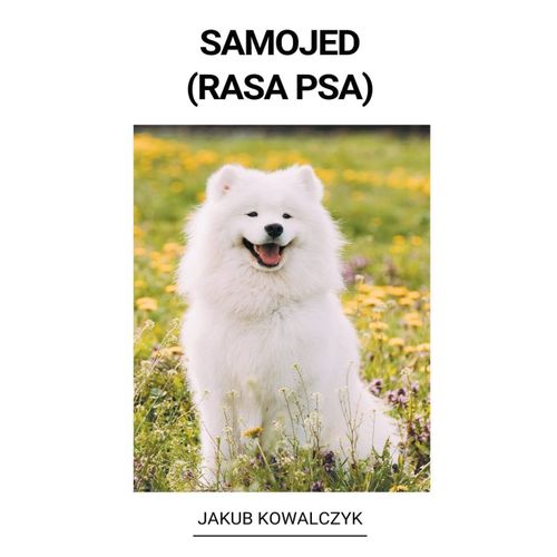 Samojed (Rasa Psa)