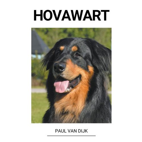 Hovawart