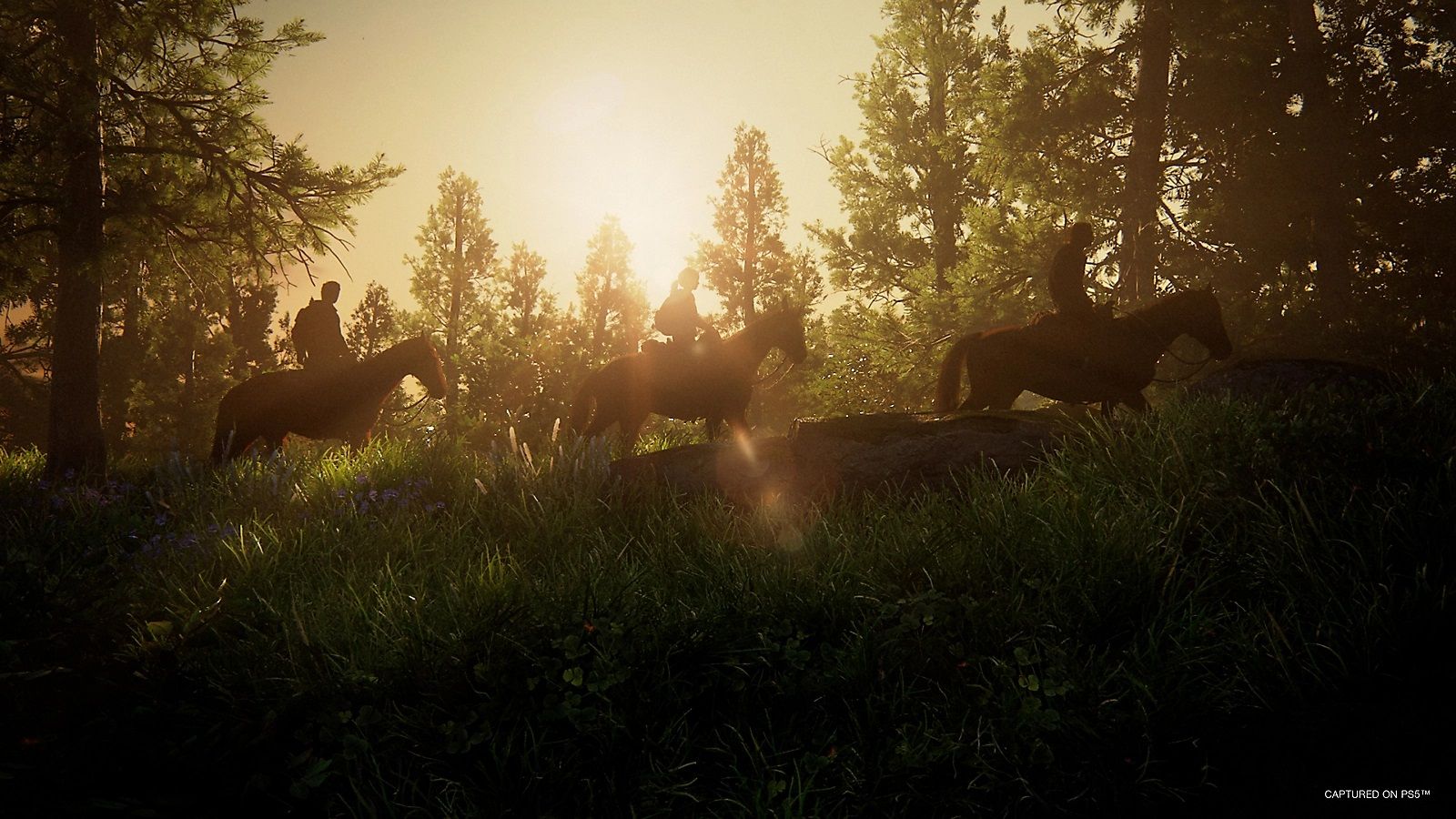 The Last of Us Part 1 PS5 image 1 | Rakuten