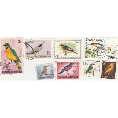 8 Timbres Oblitérés De Divers Pays D'afrique - Animaux - Oiseaux