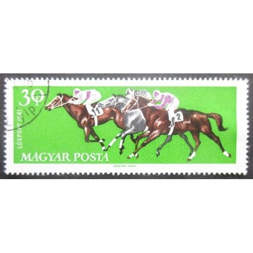 Hongrie N°1459 Sport Hippique Oblitéré