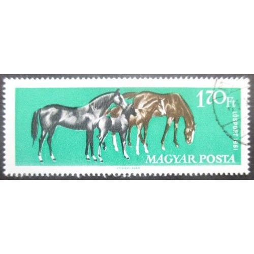 Hongrie N°1463 Sport Hippique Oblitéré