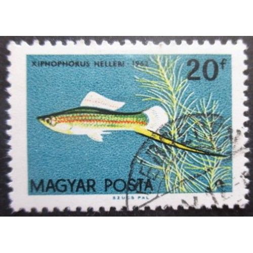 Hongrie N°1495 Poisson Oblitéré