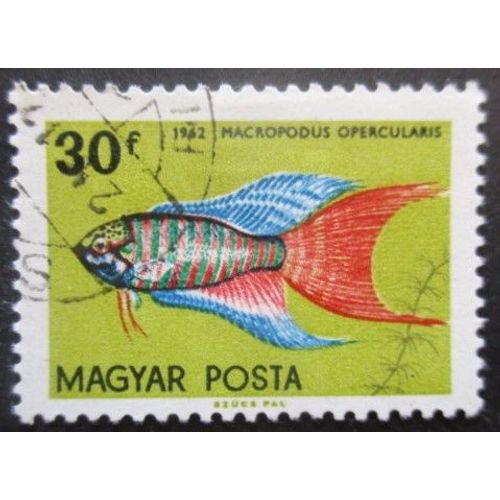 Hongrie N°1496 Poisson Oblitéré