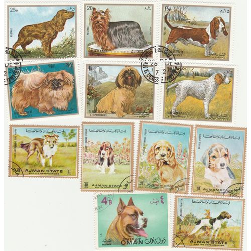 12 Timbres Oblitérés Des Emirats Arabes Unis Et D'oman - Animaux - Chiens
