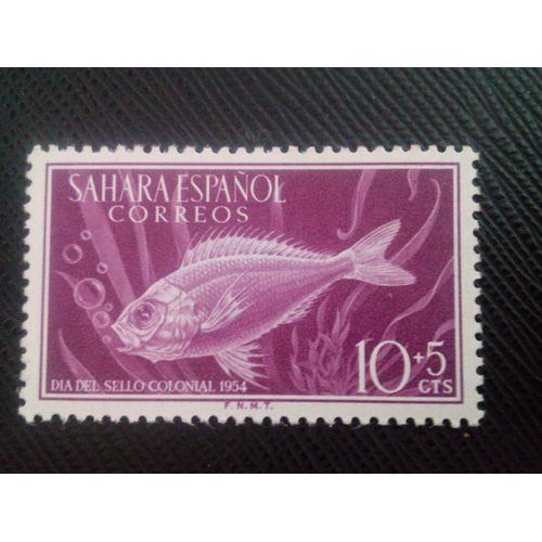Timbre Sahara Espagnol Y T 104 Dorade Royale (Sparus Aurata) 1954 ( 031206 )
