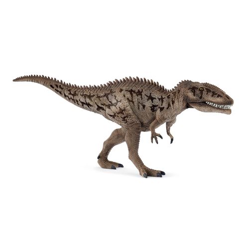 Dinosaurs Carcharodontosaurus