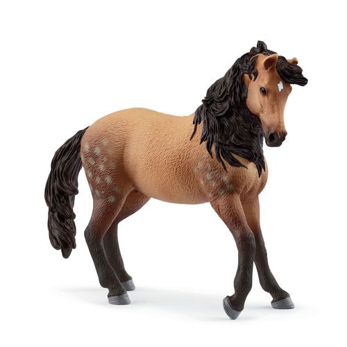 Horse Club Jument Andalouse