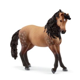 Horse Club Jument Andalouse