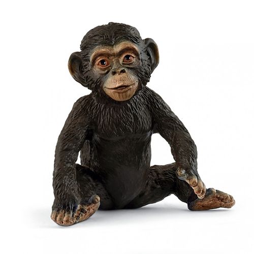 Wild Life Jeune Chimpanzé