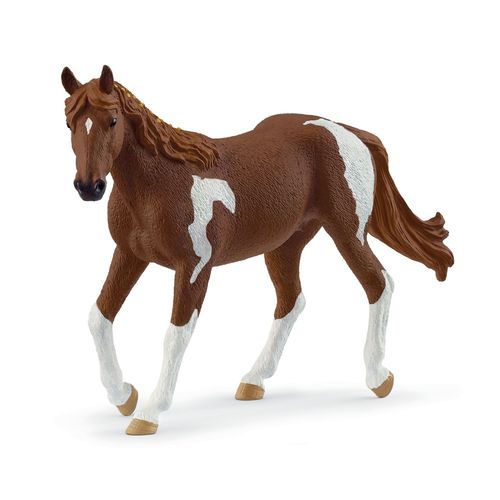 Horse Club Jument Paint Horse