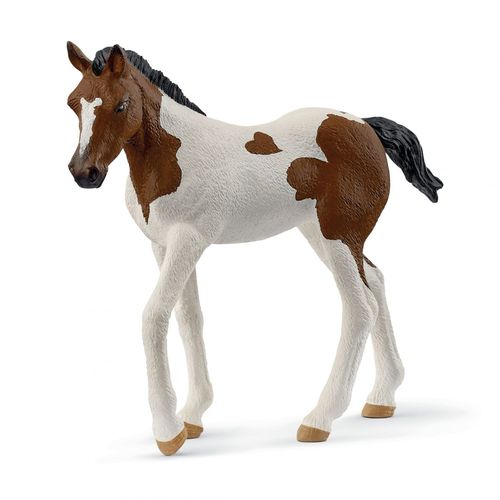 Horse Club Poulain Paint Horse
