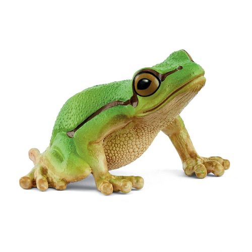 Wild Life Rainette Verte