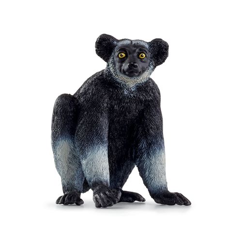 Wild Life Indri