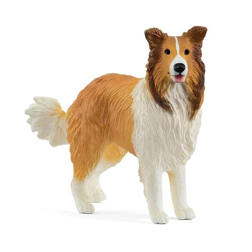 Farm World Chien Colley