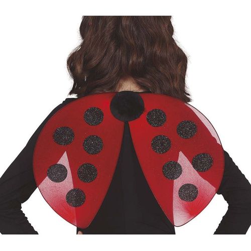 Ailes De Coccinelle Rouge Et Noire 40x30 Cm