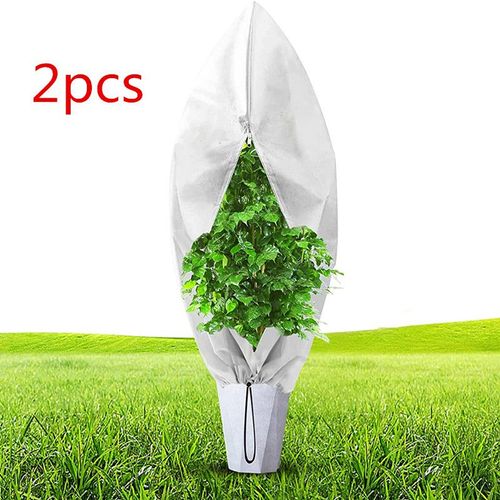 2 Pcs 200 * 240cm, 80g / M², Housse De Protection Contre Le Gel Pour Plantes D'hiver, Protège Les Arbres Du Froid Et Du Vent Nuisible