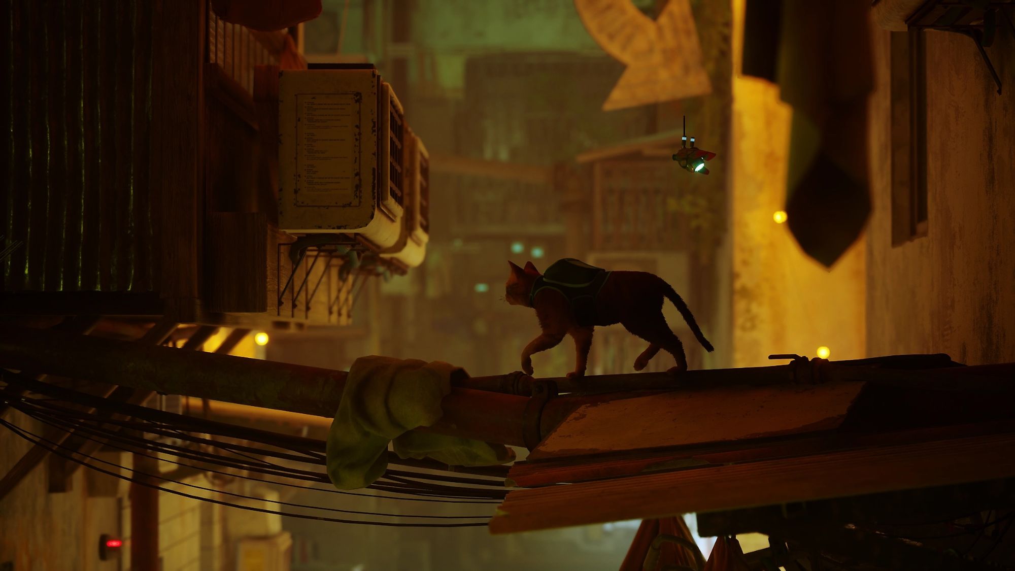 Stray PS5 image 1 | Rakuten