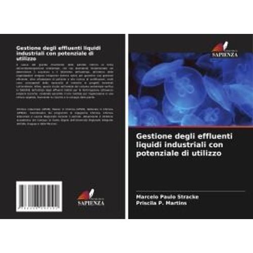 Gestione Degli Effluenti Liquidi Industriali Con Potenziale Di Utilizzo