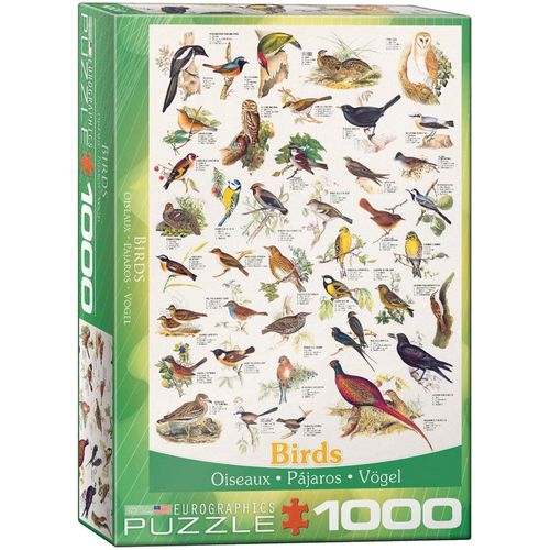 Puzzle Eurographics Oiseaux - 1000 Pièces