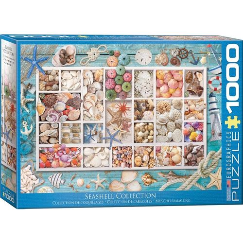 Puzzle Eurographics Collection De Coquillages - 1000 Pièces